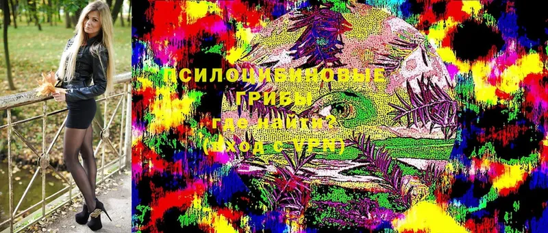 Псилоцибиновые грибы Cubensis  сколько стоит  Елизово 